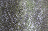 Hempstead fibreglass roof work